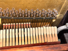 Load image into Gallery viewer, Concord by Melodigrand 64-Key Piano