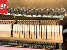 Load image into Gallery viewer, Melodigrand 64-Key Piano