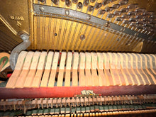 Load image into Gallery viewer, Concord by Melodigrand 64-Key Piano