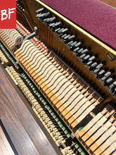 Load image into Gallery viewer, Melodigrand 64-Key in Walnut