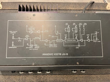 Load image into Gallery viewer, Ampeg