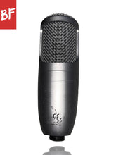 Load image into Gallery viewer, AKG Perception 100 Large Diaphragm Condenser Mic
