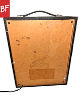 Load image into Gallery viewer, 1970's Regal RE-105 5-Watt Combo Amp
