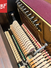 Load image into Gallery viewer, Melodigrand 64-Key in Walnut
