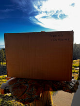 Load image into Gallery viewer, Focusrite ISA 430 MKII
