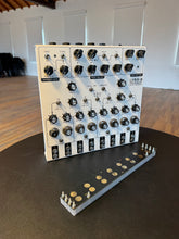 Load image into Gallery viewer, Lyra 8 Organismic Synthesizer
