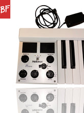 Load image into Gallery viewer, Mellotron Micro Synth

