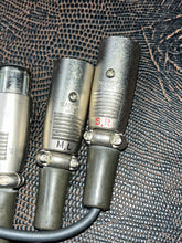 Load image into Gallery viewer, Sanken CMS 7H + CMS-2 Stereo Mid-Side Condenser Mics w/ Matrix Box

