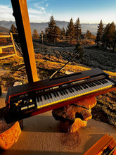Load image into Gallery viewer, Hammond XK-2 Portable Organ

