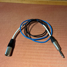 Load image into Gallery viewer, 3ft TRS-XLR Patch Cable
