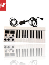 Load image into Gallery viewer, Mellotron Micro Synth
