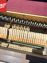 Load image into Gallery viewer, Melodigrand 64-Key in Walnut
