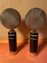 Load image into Gallery viewer, Cascade Fathead II-SP Stereo Ribbon Mics (Pair)
